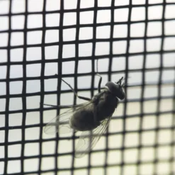 Insektenschutz im Schlafzimmer