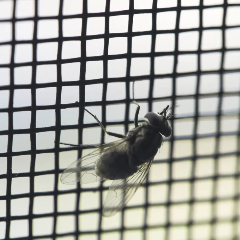 Insektenschutz im Schlafzimmer