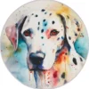 Teppich für Ihren Wohnraum